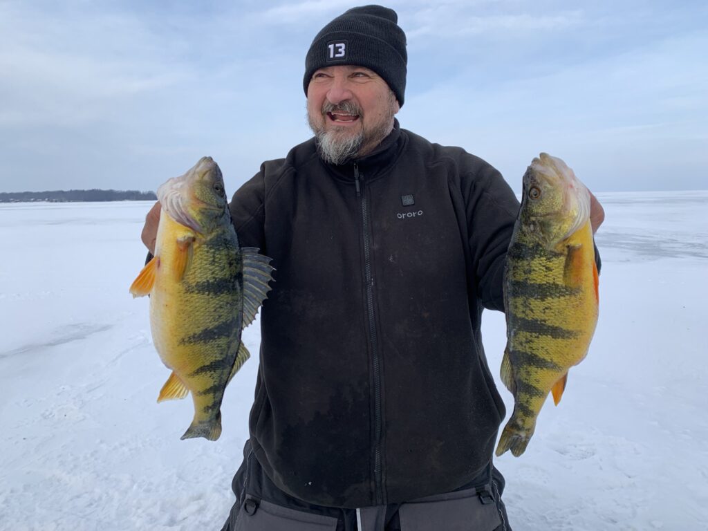 Steve Delyea with a couple of world class sized perch